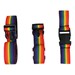 Skillbuilders Support Swing Seat Harness